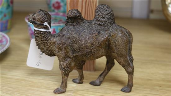 A composition figure of a camel